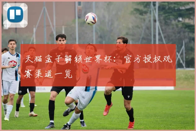 天猫盒子解锁世界杯:官方授权观赛渠道一览