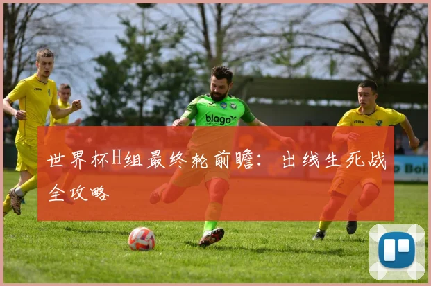 世界杯H组最终轮前瞻:出线生死战全攻略