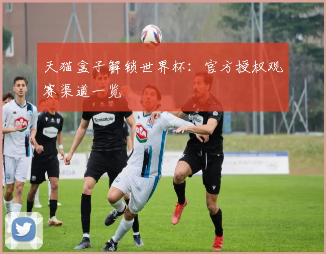 天猫盒子解锁世界杯:官方授权观赛渠道一览