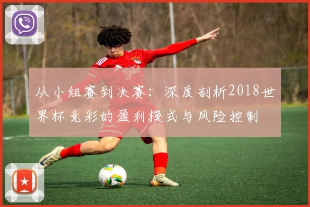 从小组赛到决赛:深度剖析2018世界杯竞彩的盈利模式与风险控制