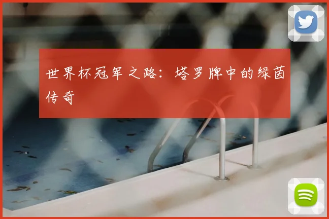 世界杯冠军之路:塔罗牌中的绿茵传奇