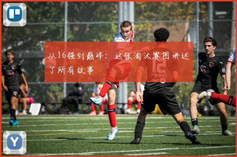 从16强到巅峰:这张淘汰赛图讲述了所有故事