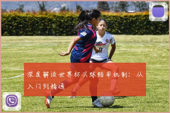 深度解读世界杯买球赔率机制：从入门到精通