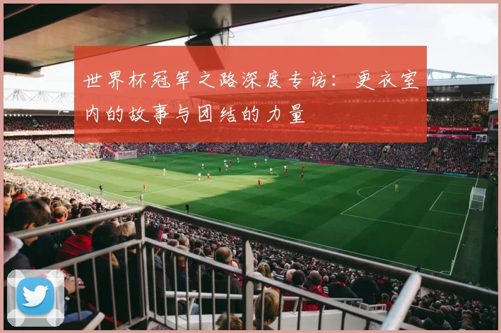 世界杯冠军之路深度专访:更衣室内的故事与团结的力量