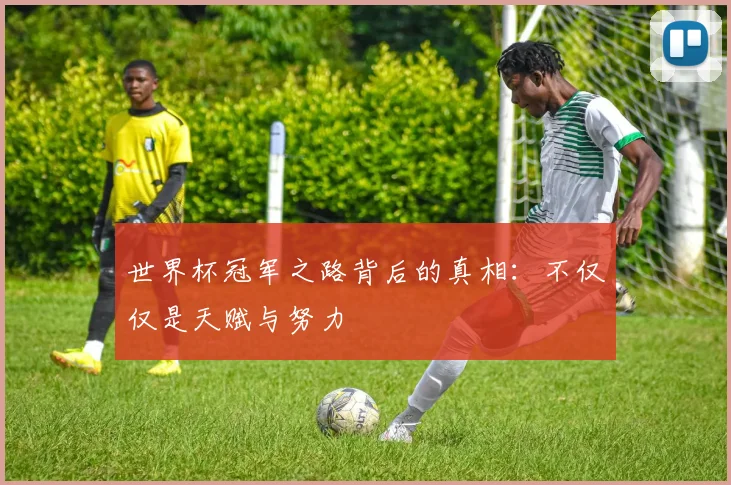 世界杯冠军之路背后的真相:不仅仅是天赋与努力