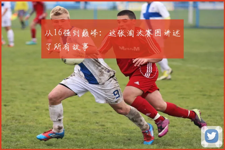 从16强到巅峰：这张淘汰赛图讲述了所有故事