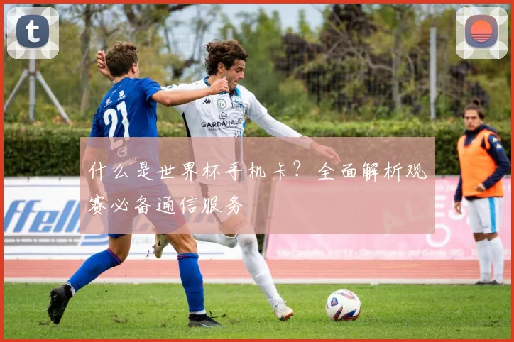 什么是世界杯手机卡?全面解析观赛必备通信服务