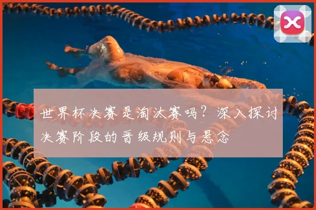 世界杯决赛是淘汰赛吗？深入探讨决赛阶段的晋级规则与悬念