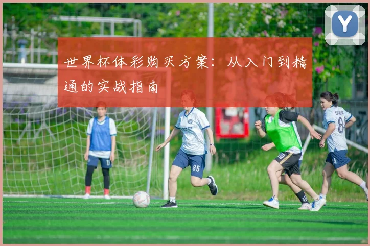 世界杯体彩购买方案：从入门到精通的实战指南