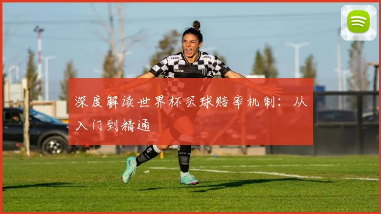 深度解读世界杯买球赔率机制：从入门到精通