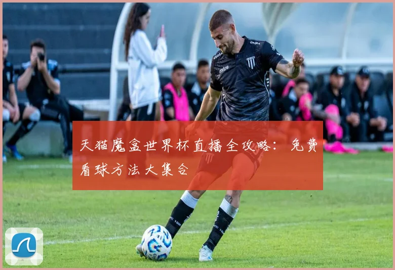 天猫魔盒世界杯直播全攻略:免费看球方法大集合